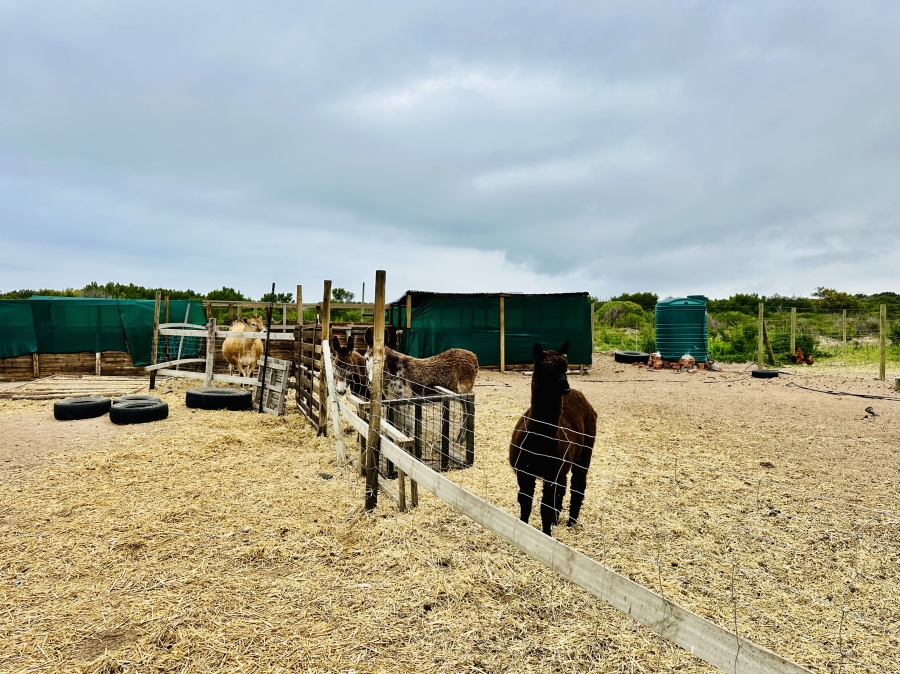 3 Bedroom Property for Sale in Franskraal Western Cape